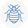 Bed Bug Extermination In Harlesden