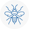 Harlesden Hornet Nest Removals