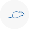 Mice Exterminators In Harlesden
