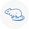 Rat Control Harlesden