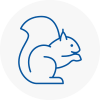 Harlesden Rodent Removals